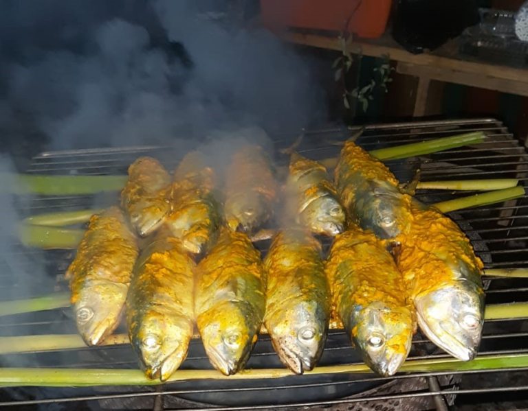 bbq grilled fish